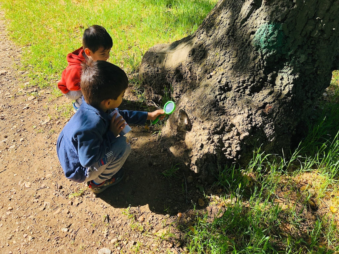 Summer Language Adventure: Outdoor Scavenger Hunt for Language Learners!