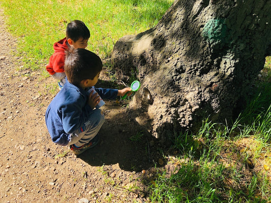 Summer Language Adventure: Outdoor Scavenger Hunt for Language Learners!